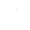 image-icon